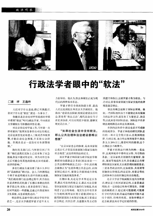 行政法学者眼中的“软法”