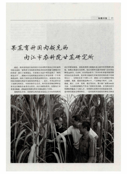 果蔗育种国内领先的内江市农科院甘蔗研究所