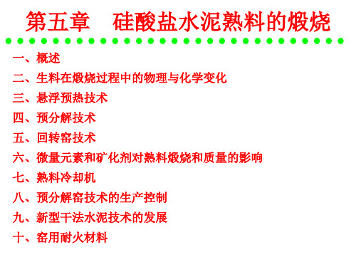 第五章硅酸盐水泥熟料的煅烧