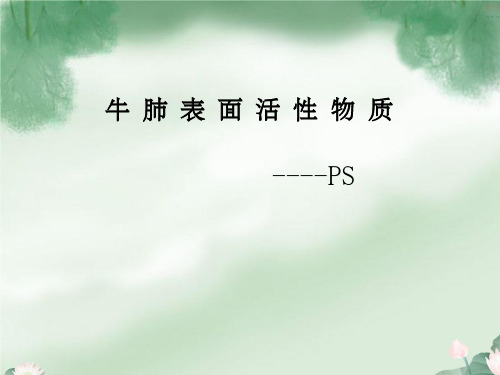 牛肺表面活性物质
