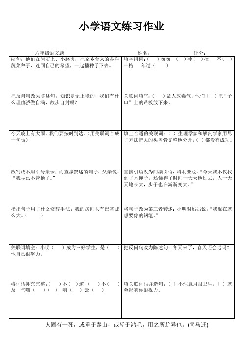 小学六年级语文课堂延伸练习 (25)