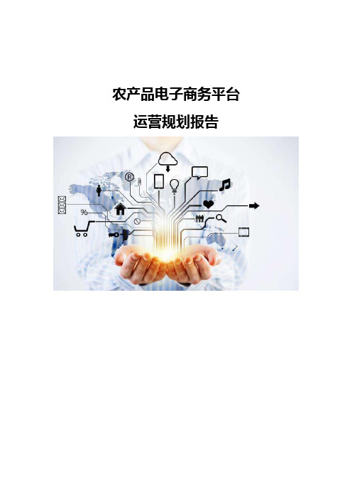 农产品电子商务平台运营规划报告