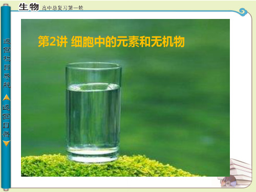 细胞中的元素和无机物