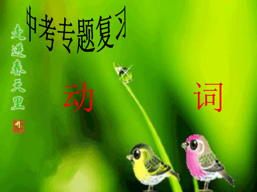 冀教版英语中考动词专题课件