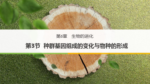 人教版必修二6.3 种群基因组成的变化与物种的形成(共17张PPT)
