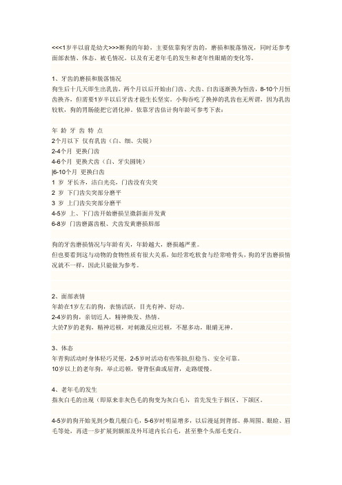 怎么样区分狗狗幼犬与成犬的区别
