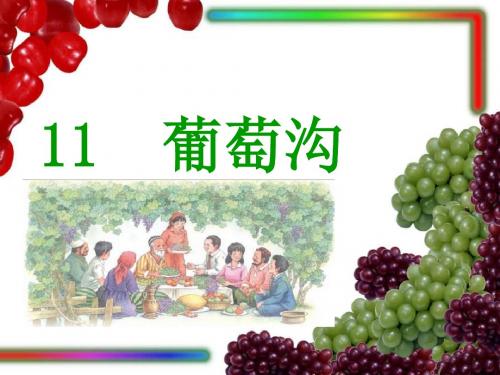11. 《葡萄沟》公开课PPT1