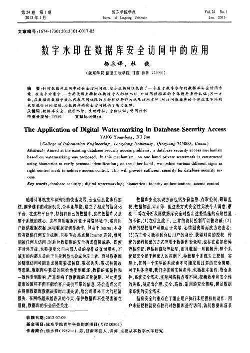 数字水印在数据库安全访问中的应用