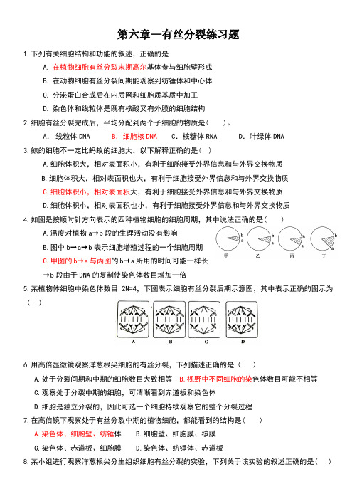 有丝分裂练习题