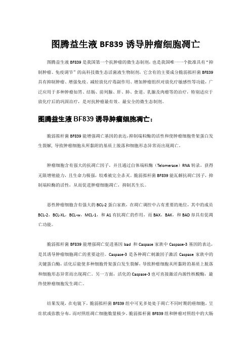 图腾益生液BF839诱导肿瘤细胞凋亡