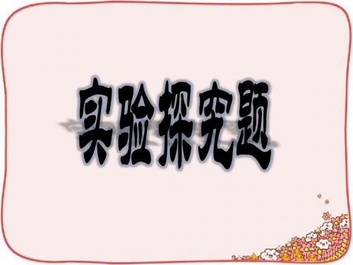 实验探究题河北中考2016分类
