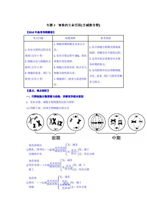 2016年高考生物考纲解读及热点难点试题演练专题03细胞的生命历程(含减数分裂)Word版含解析