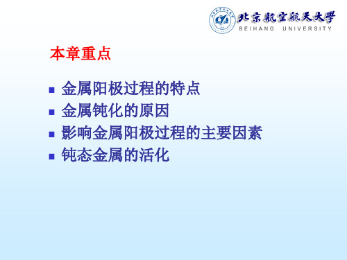 电化学金属的阳极过程