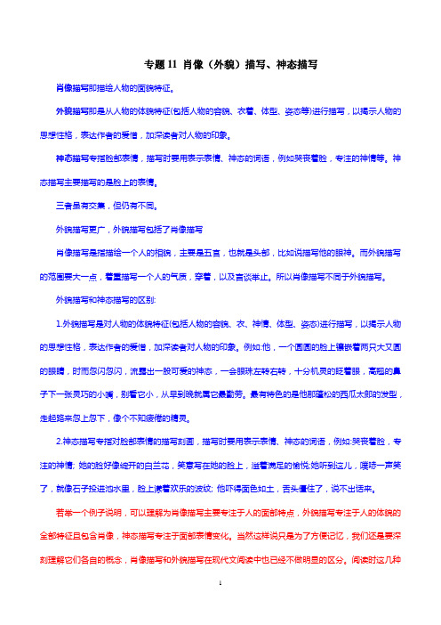 专题11 肖像(外貌)描写、神态描写-初中现代文阅读考点+答题技巧模板之记叙文