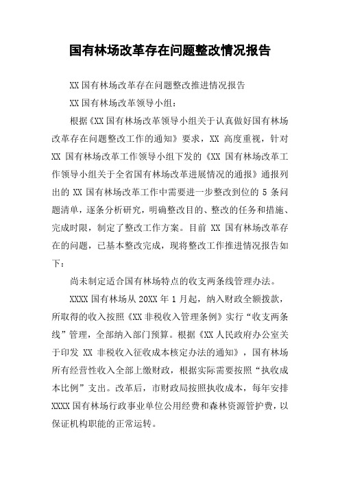国有林场改革存在问题整改情况报告