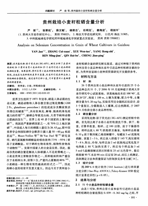 贵州栽培小麦籽粒硒含量分析
