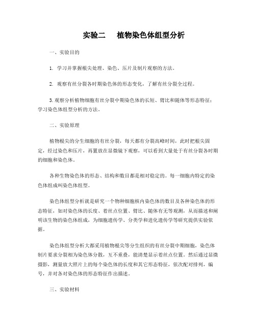 大蒜核型分析