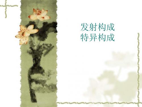 发射构成.