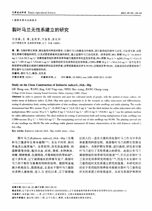 裂叶马兰无性系建立的研究