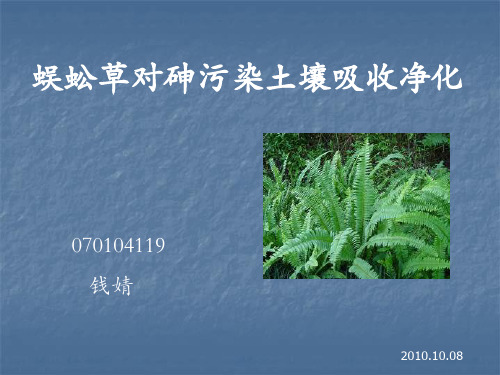 蜈蚣草对砷的吸收