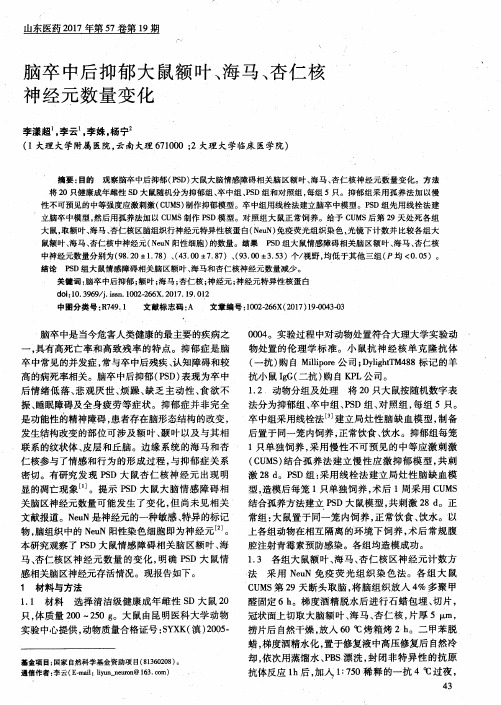 脑卒中后抑郁大鼠额叶、海马、杏仁核神经元数量变化