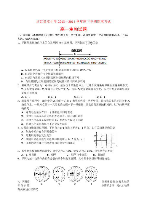 宁波效实中学2013-2014学年高一下学期期末考试生物试题