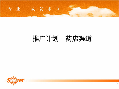 推广计划药店渠道PPT参考课件