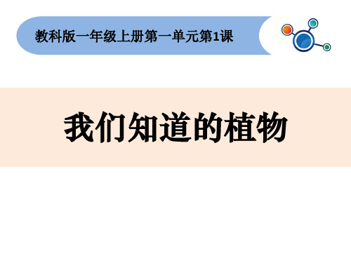 一年级上册科学课件 我们知道的植物 l 教科版 (1) (共12页)PPT