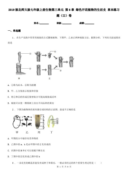 2019版北师大版七年级上册生物第三单元 第6章 绿色开花植物的生活史 章末练习题(II)卷