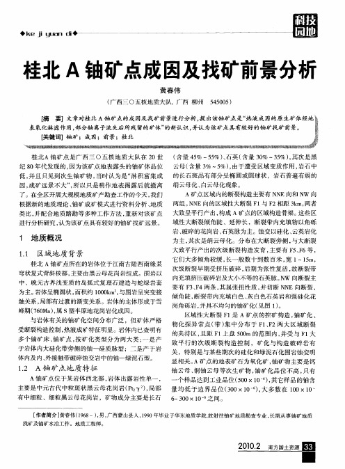 桂北A铀矿点成因及找矿前景分析