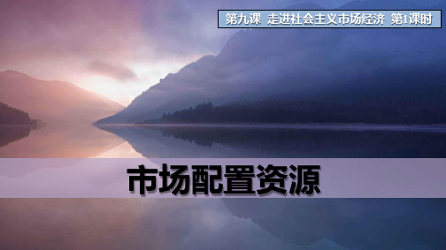 人教版高中政治必修1优质课件6：9.1 市场配置资源