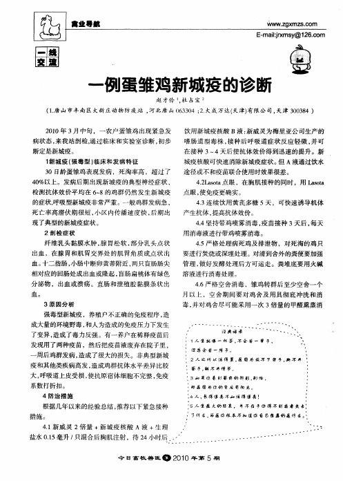 一例蛋雏鸡新城疫的诊断
