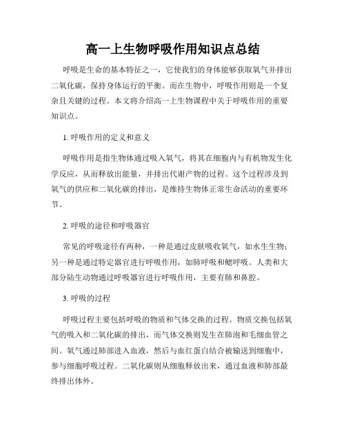 高一上生物呼吸作用知识点总结