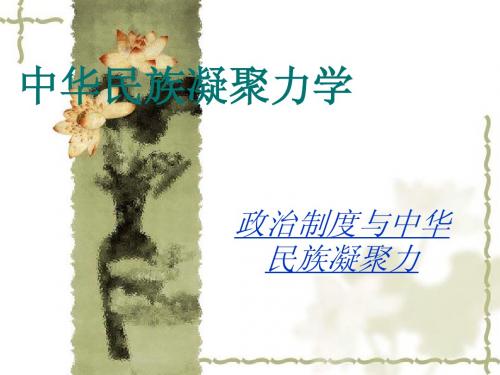 中华民族凝聚力学