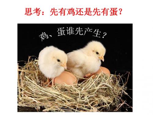 第五章《生物的进化》2课时