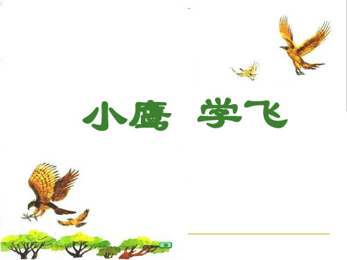 苏教版二年级语文上册《小鹰学飞》PPT课件