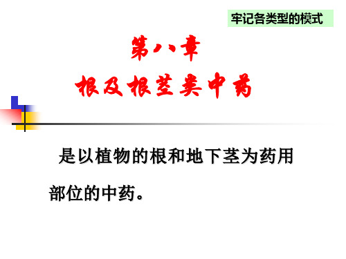 根及根茎类
