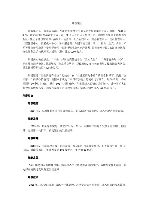 邦泰集团简介