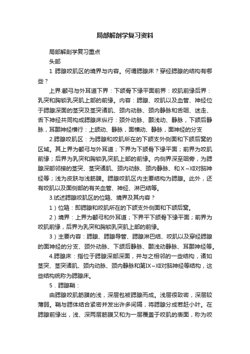 局部解剖学复习资料