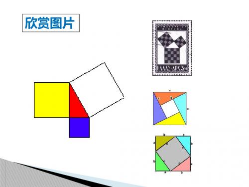 新苏科版八年级数学上册《平方根》公开课课件