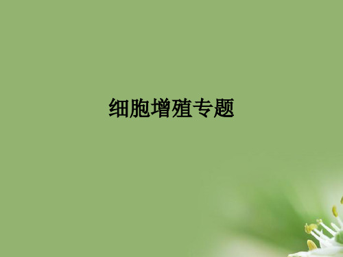 细胞增殖专题ppt 人教课标版精选教学PPT课件