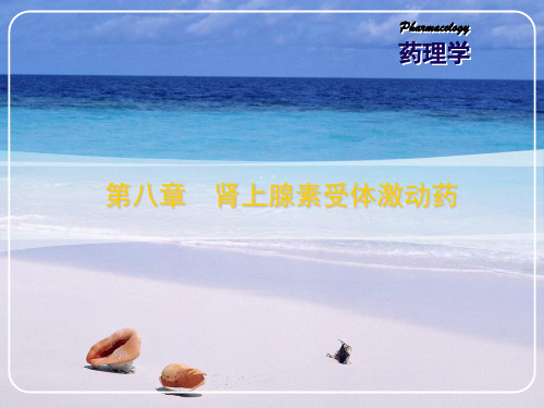 NE受体激动剂
