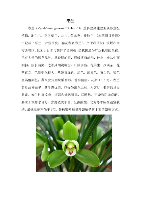 1-春兰(Cymbidium goeringii Rchb. f.)