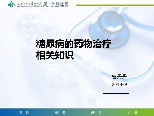 糖尿病药物治疗相关知识总结ppt课件