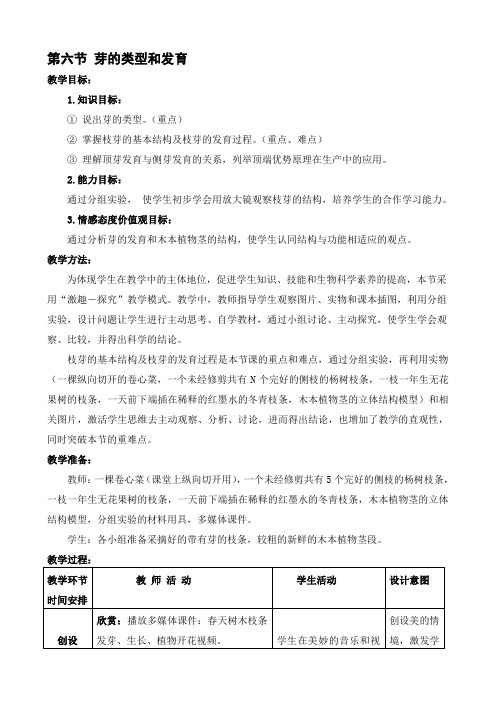 芽的类型和发育