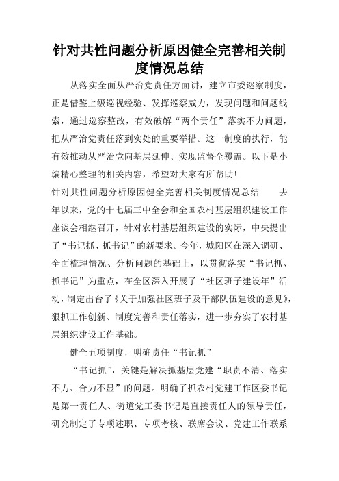 针对共性问题分析原因健全完善相关制度情况总结