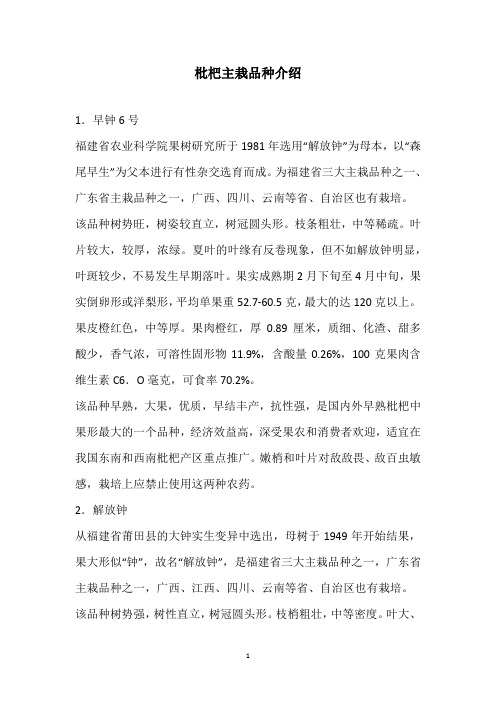 枇杷主栽品种介绍