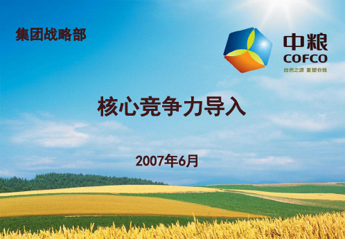 核心竞争力中粮集团案例