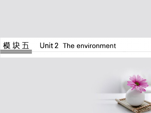 江苏专用2018版高考英语大一轮复习第一部分模块五Unit2Theenvironment课件