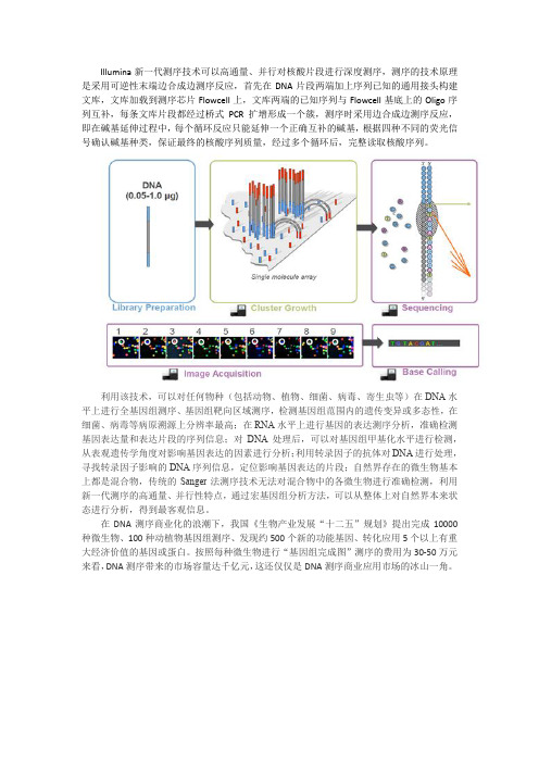 Illumina测序